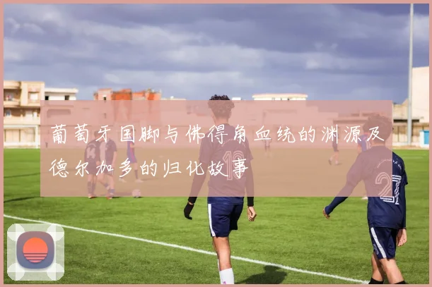 葡萄牙国脚与佛得角血统的渊源及德尔加多的归化故事